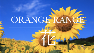 ORANGE RANGE  花